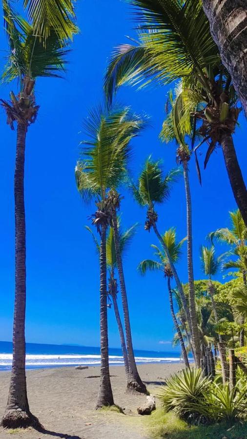 The Backyard Beachfront Hotel Jaco Exterior photo